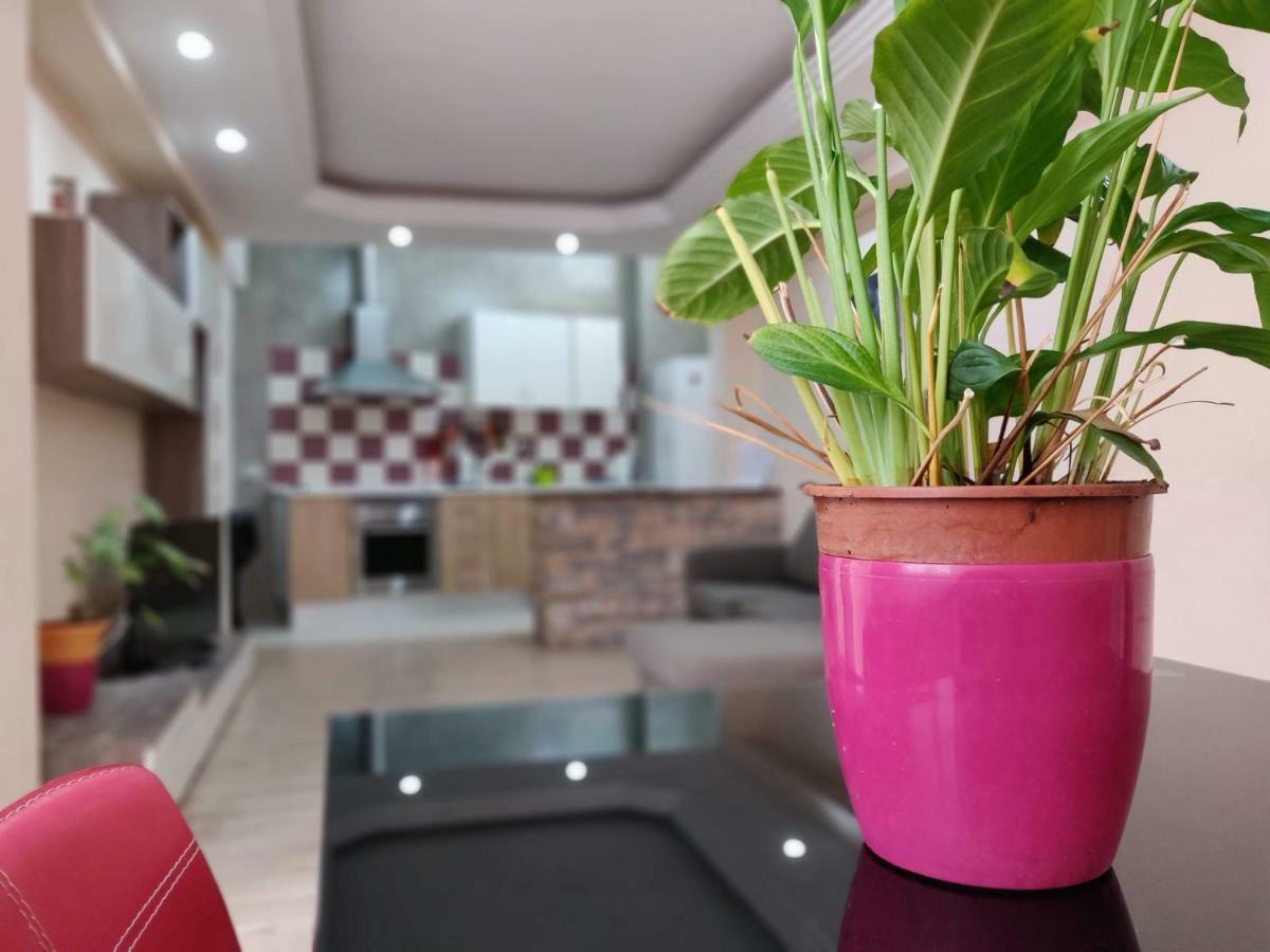 Cactus Los Cristianos Βίλα Los Cristianos  Εξωτερικό φωτογραφία